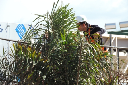 Fachada Comercial - Alucobondacmesplanada 14